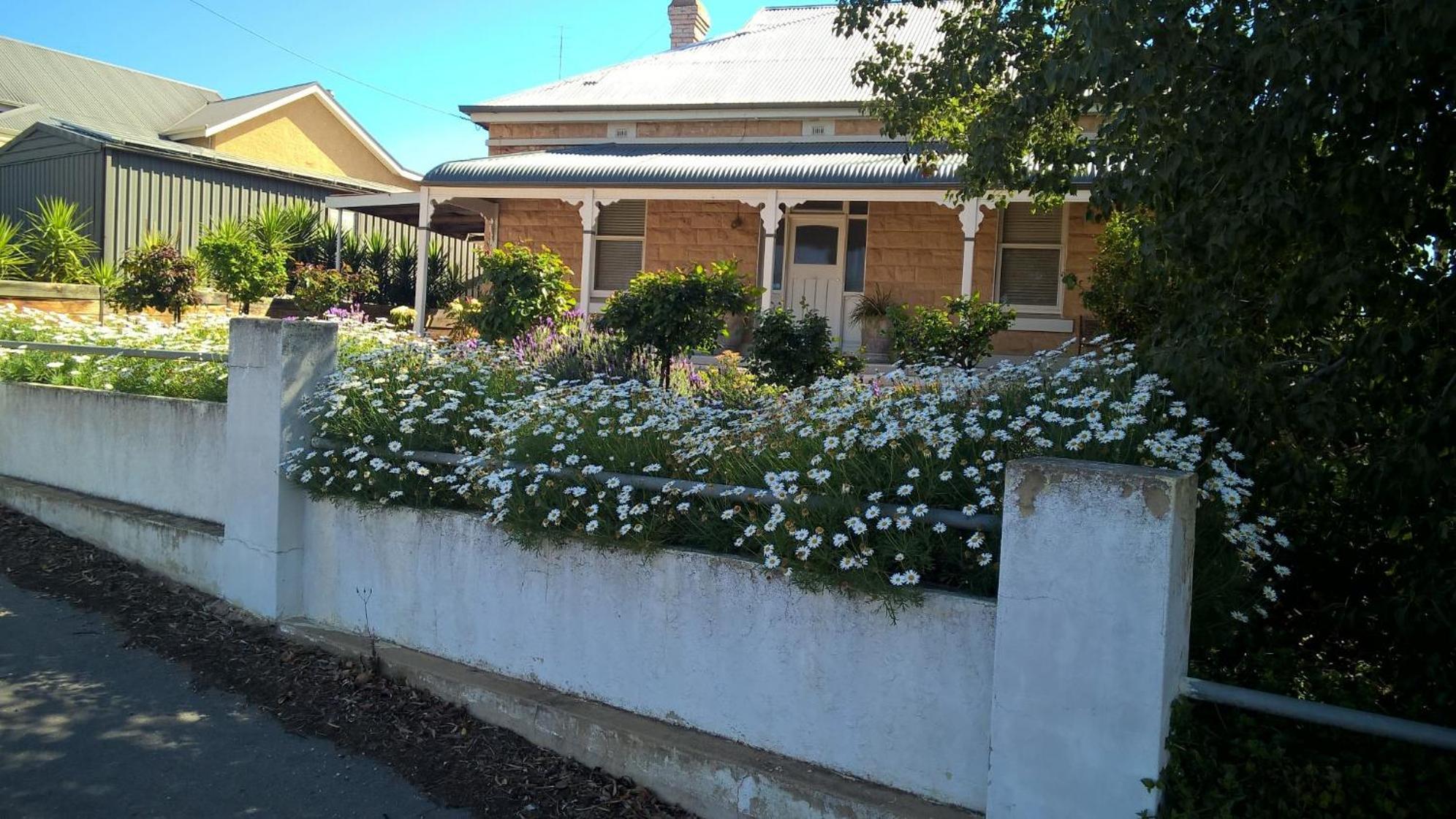 Waikerie Book Keepers Cottage מראה חיצוני תמונה